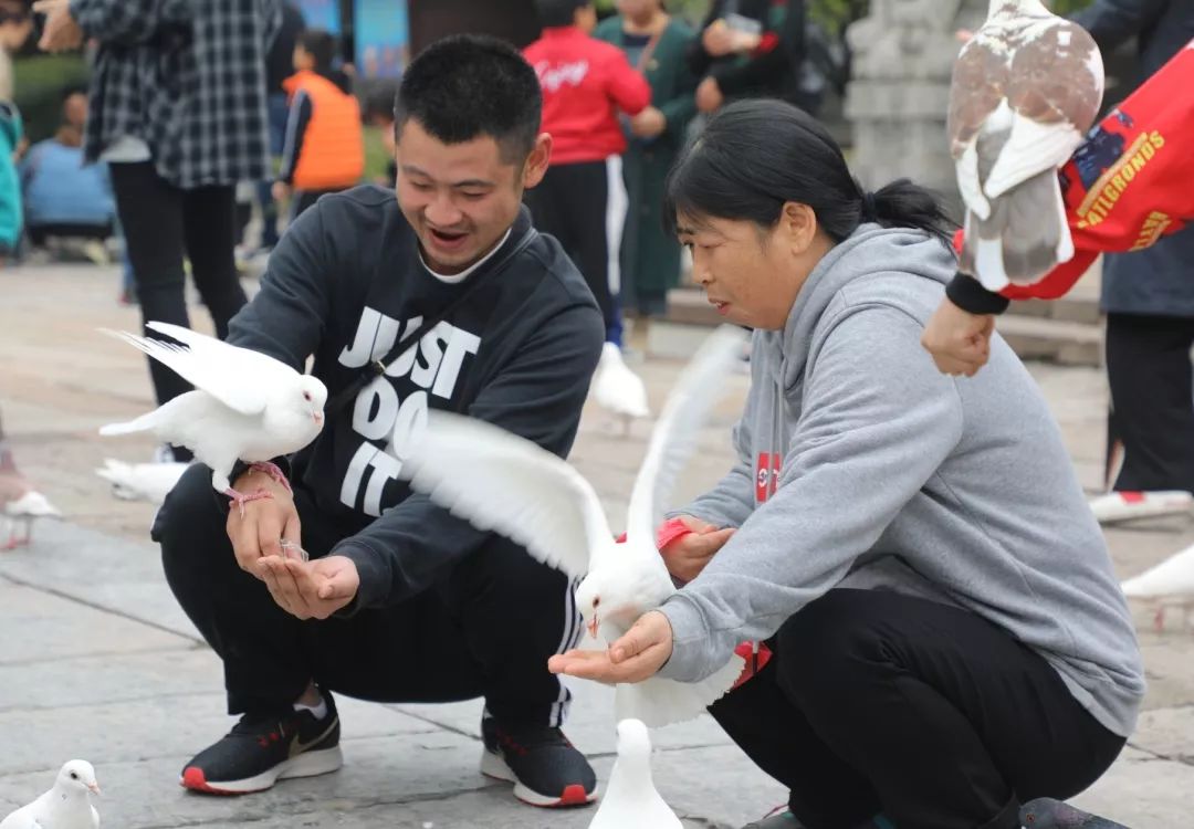 重阳 赏菊 游古城 | 带着父母去台儿庄开启一场赏秋之旅 重阳 赏菊 游古城 | 带着父母去台儿庄开启一场赏秋之旅