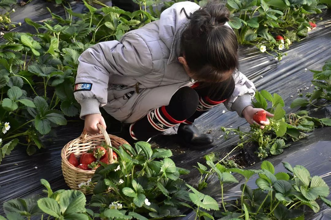 假期带娃去祥和庄园,开启一场寓教于游的研学之旅 假期带娃去祥和庄园,开启一场寓教于游的研学之旅