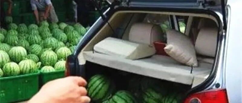 后备箱放西瓜，罚款200扣3分！车主：买瓜吃也不行？