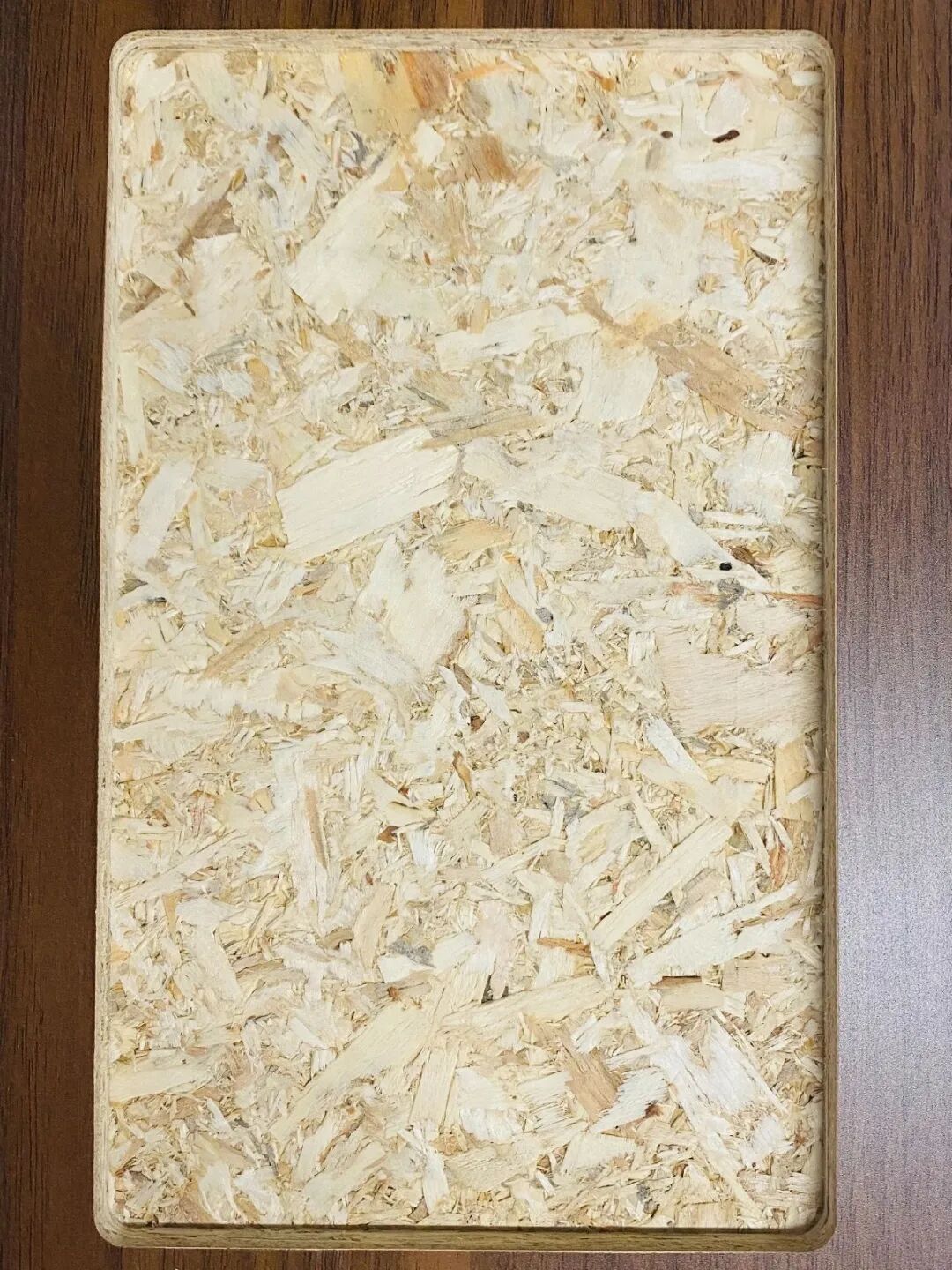 专家解读，大咖坐镇！曲美零甲醛添加原木结构板首发亮相