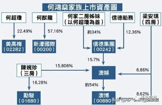 扒一扒賭王何鴻燊四妻十七子 歷史 第3張