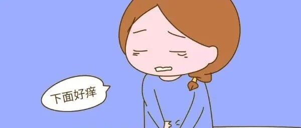 阴道炎总是反反复复？