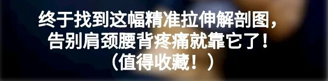 为什么会有单关节器械膝关节功能评估方法：单腿跳跃测试_https://www.jmylbn.com_新闻资讯_第10张