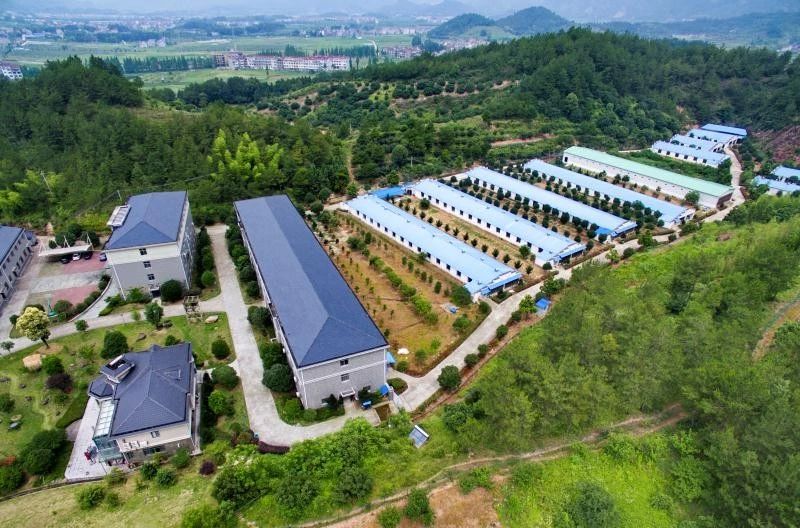 重磅！浙江推出8项举措鼓励养猪：用地优先审批、引种补贴500元/头……