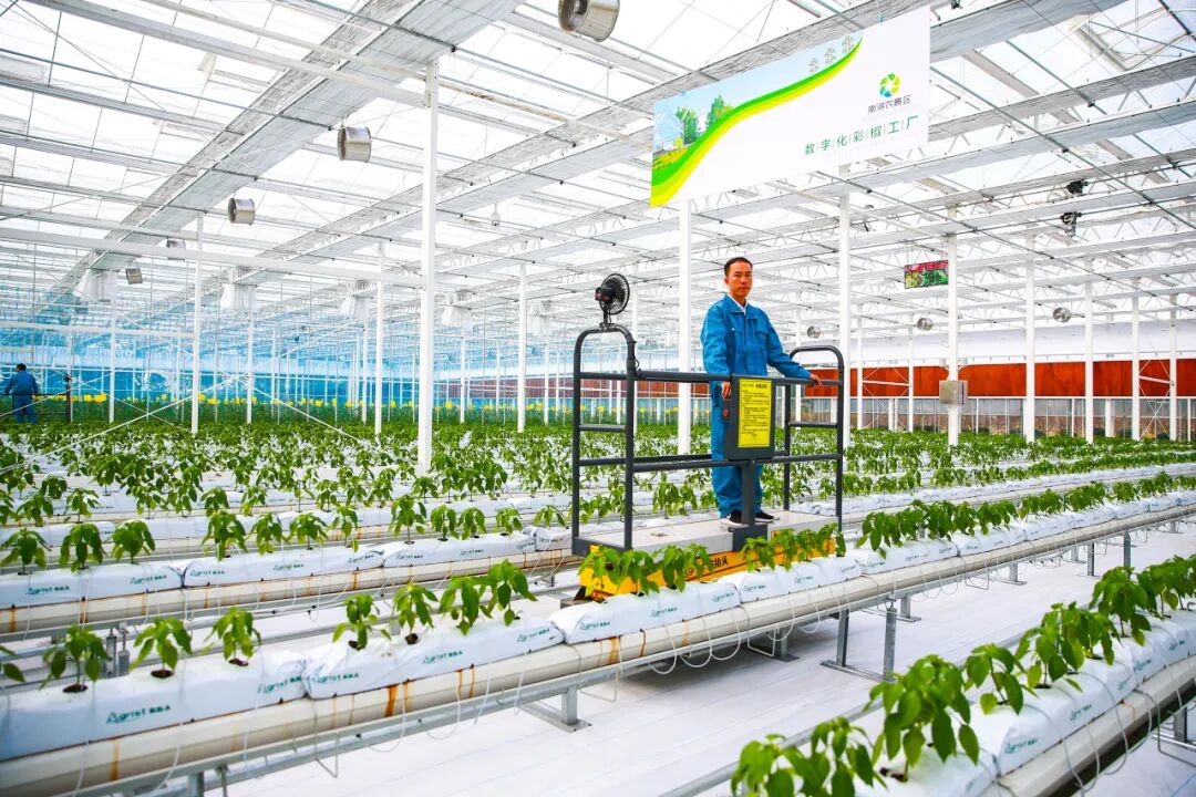 擘畫農業(yè)高質量發(fā)展新畫卷——浙江深入推進農業(yè)“雙強”行動綜述(圖3)