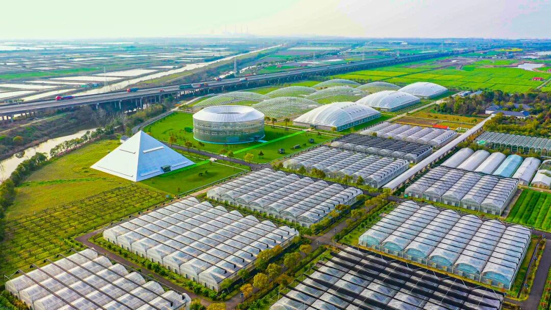 擘畫農業(yè)高質量發(fā)展新畫卷——浙江深入推進農業(yè)“雙強”行動綜述(圖1)