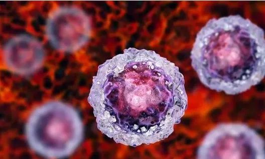干细胞能不能治疗卵巢早衰，干细胞作用于POF的4种作用机制