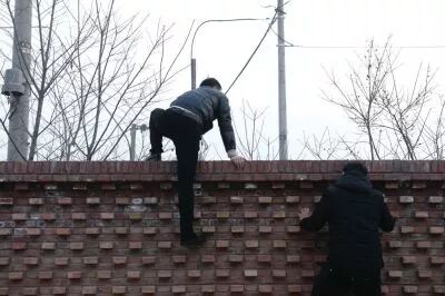 又来了！！电脑办公神器，让Mac无需双系统，完美运行任何Windows平台软件