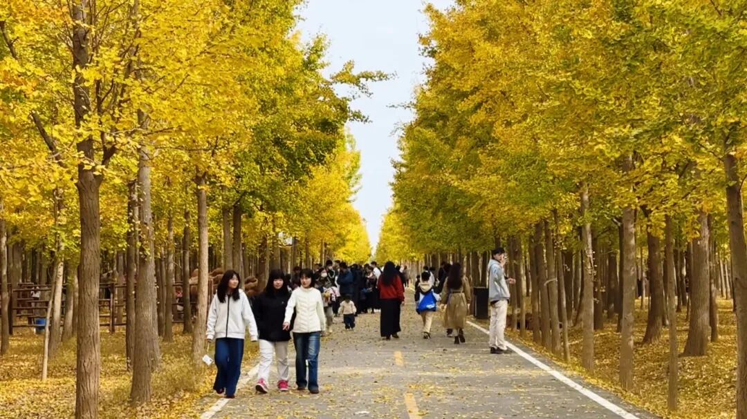 10月27日(8).jpg