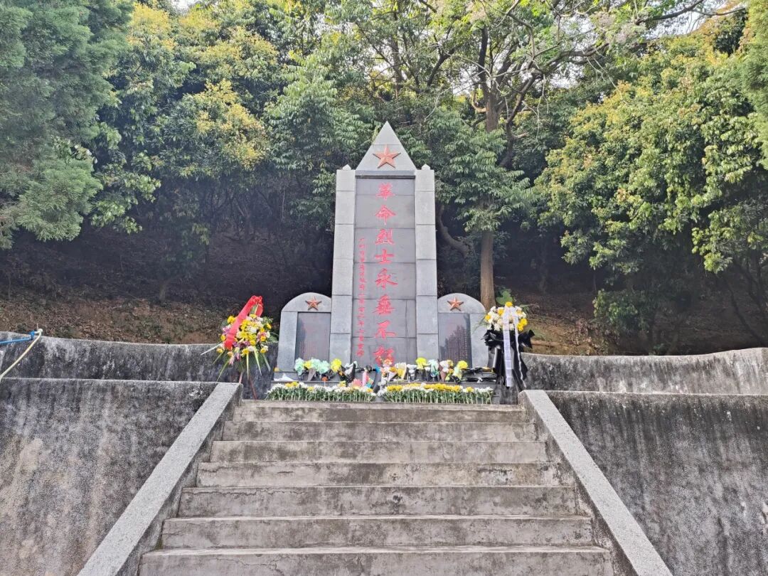 Ļͼ 2025-05-20 114955.png