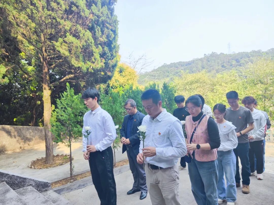 Ļͼ 2025-05-20 115302.png