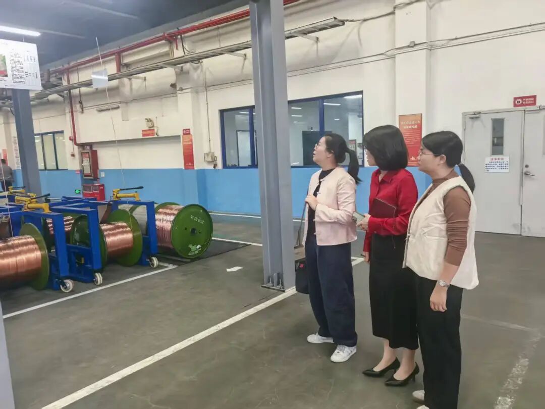 Ļͼ 2025-10-29 225159(1).png