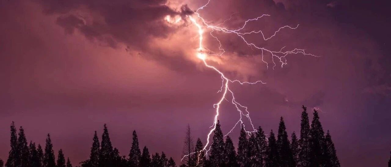 震惊，突然飞出黑天鹅