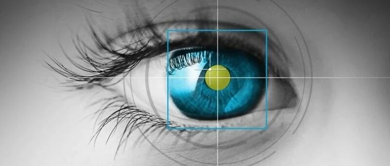 不受硬件限制，基于AI的眼球追踪系统诞生