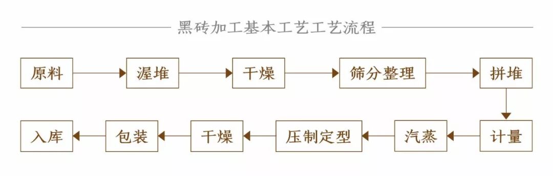 3分钟搞定黑砖茶所有知识点