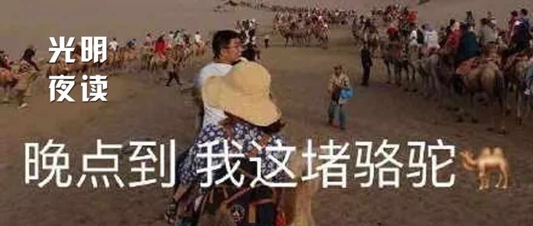 大西北，成网红了？