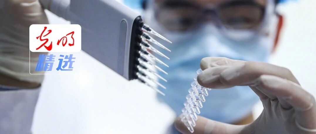 人才称号被“明码标价”？教育部出手了