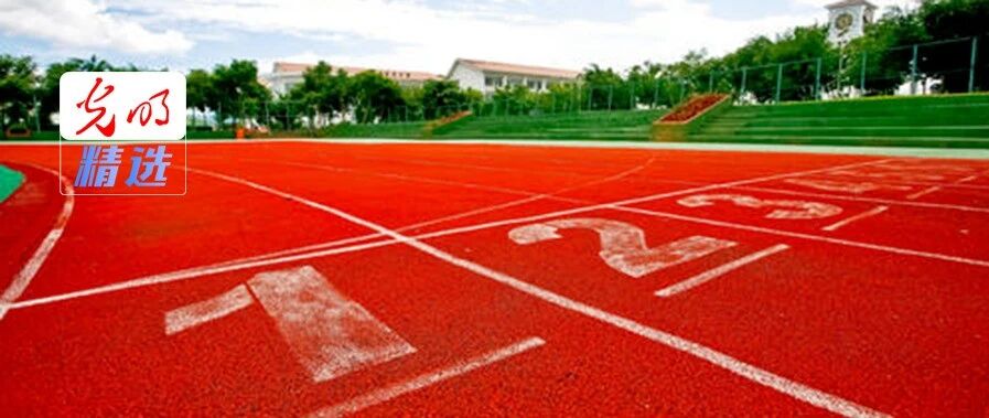 提高分值！体育美育要“硬起来”了