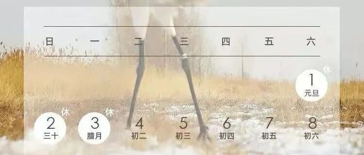 放假三天，不调休、不免费！