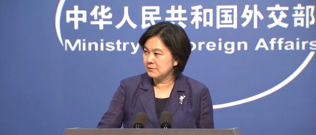 美大学驱逐中国公费留学生？外交部表态