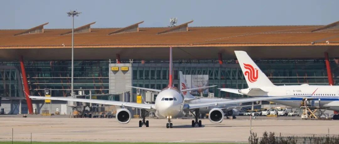 清明假期还能出游吗？官方回应