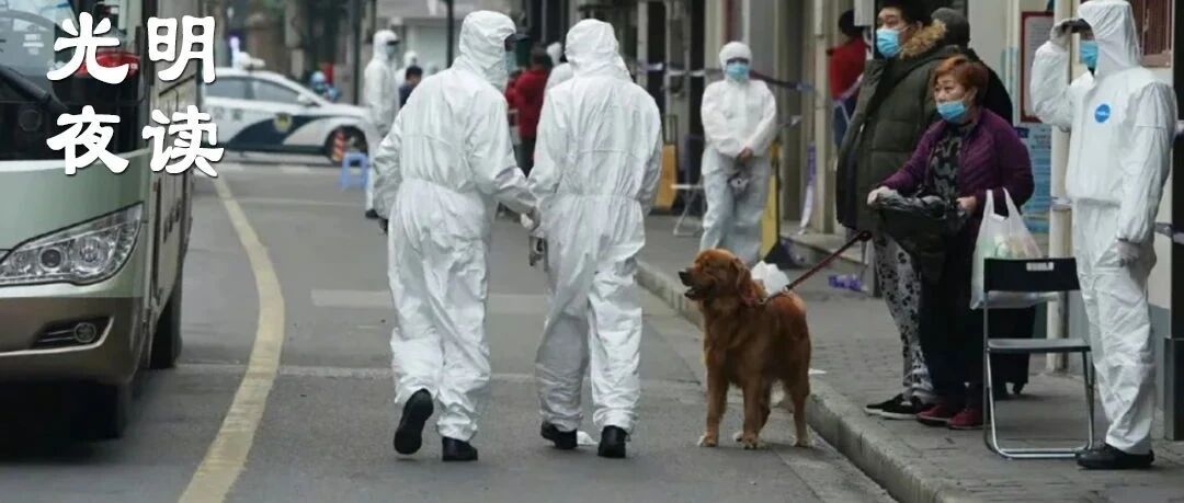 集中隔离可以带宠物，这是该有的文明