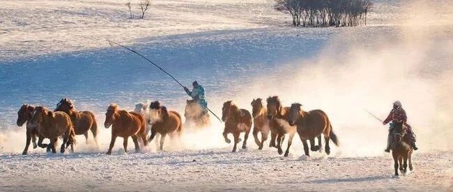 当前的散文写作有哪些新动向（文末有赠书）