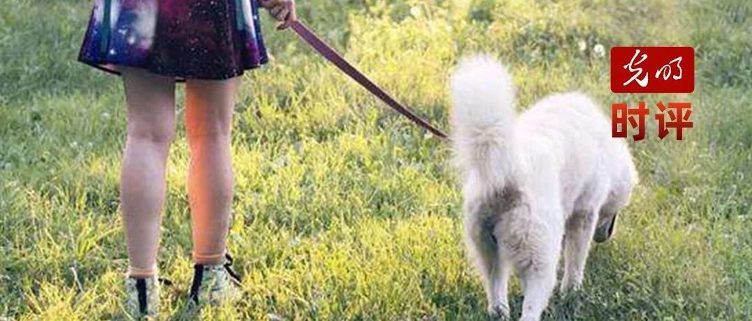 城区禁止遛狗、三次就捕杀，站得住脚吗？