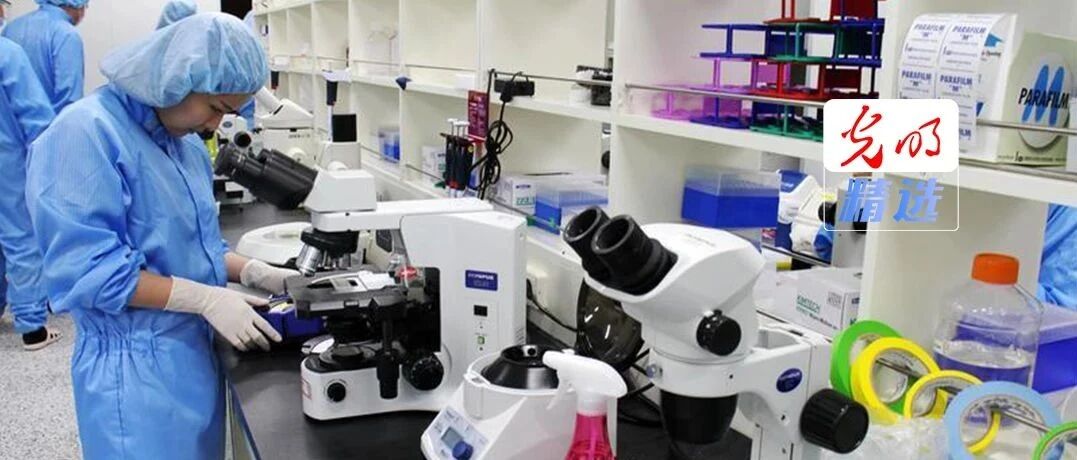 都在抢论文第一作者，怎么解决？