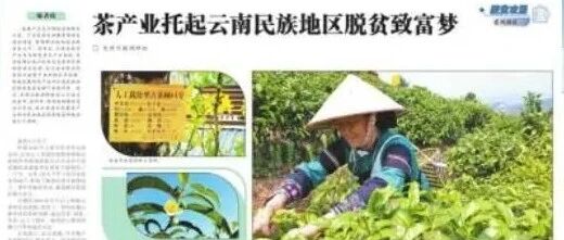 今年，《光明日报》又有作品入选高考题！