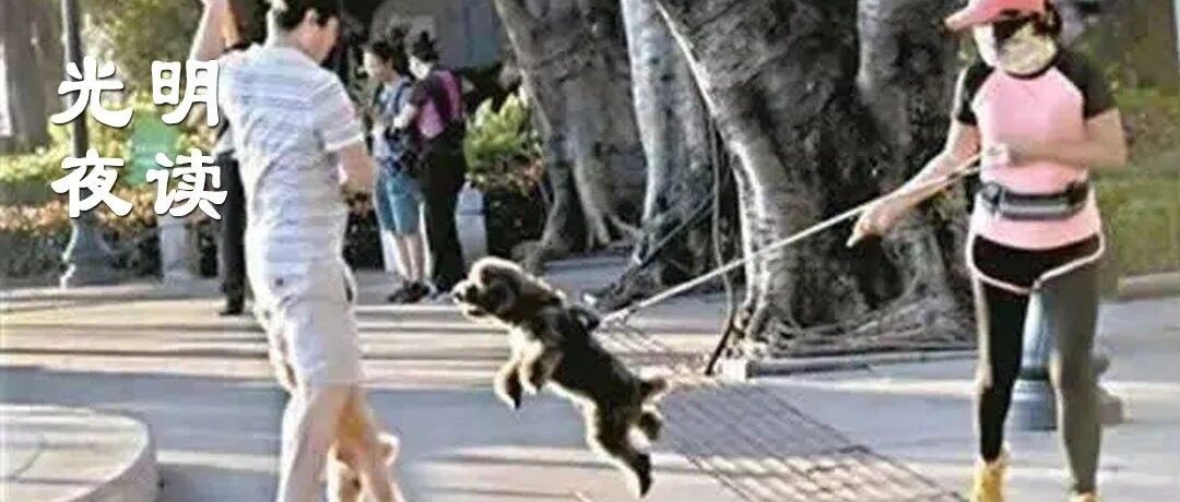 宠物的问题，关键还是在人