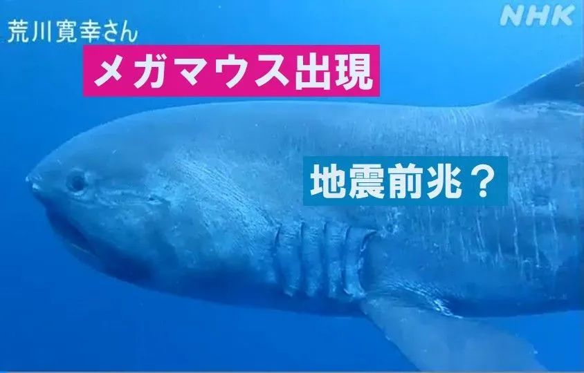 注意 东京湾大地震要来 东京留学圈 二十次幂