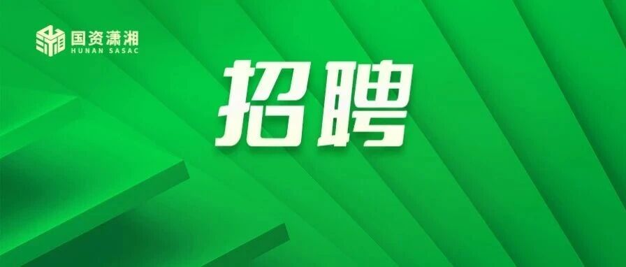 新五丰26招聘