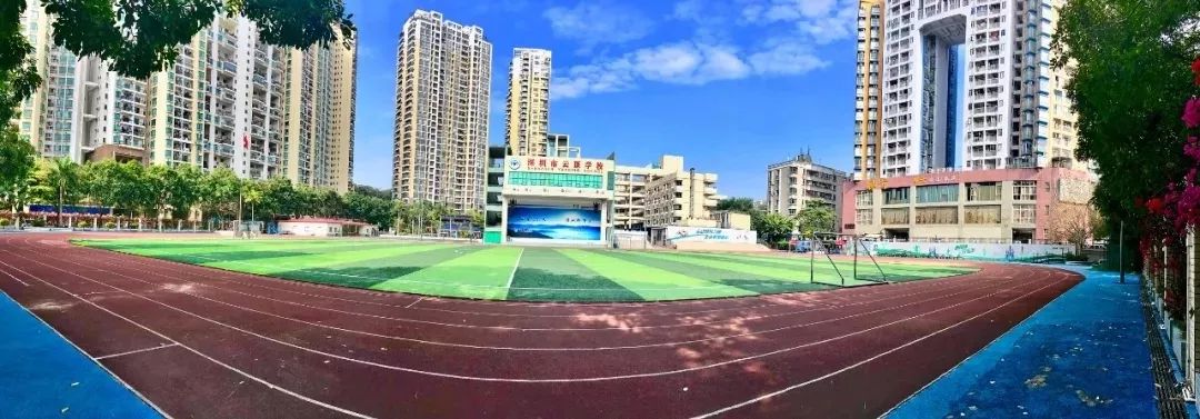 深圳赛格国际学校地址_深圳市赛格国际学校_深圳赛格国际学校