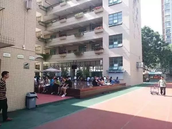 深圳市赛格国际学校_深圳赛格国际学校_深圳赛格国际学校地址