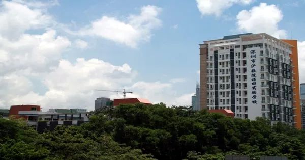 深圳賽格國際學校地址_深圳市賽格國際學校_深圳賽格國際學校