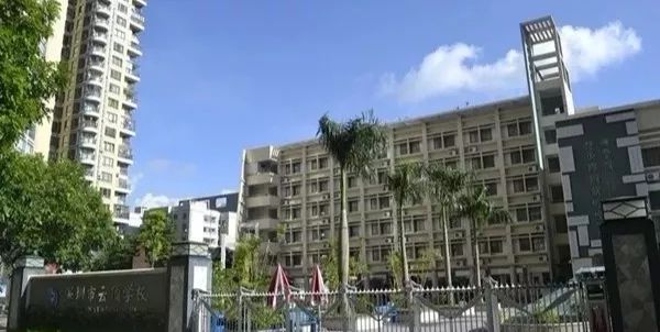 深圳市赛格国际学校_深圳赛格国际学校地址_深圳赛格国际学校