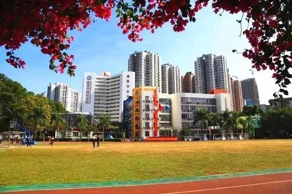 深圳賽格國際學校地址_深圳市賽格國際學校_深圳賽格國際學校