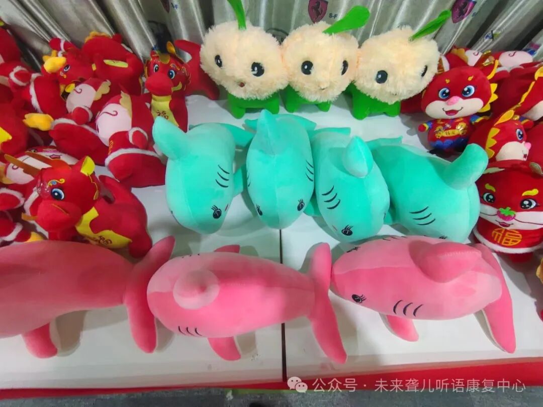 南阳未来听障儿童听语康复中心