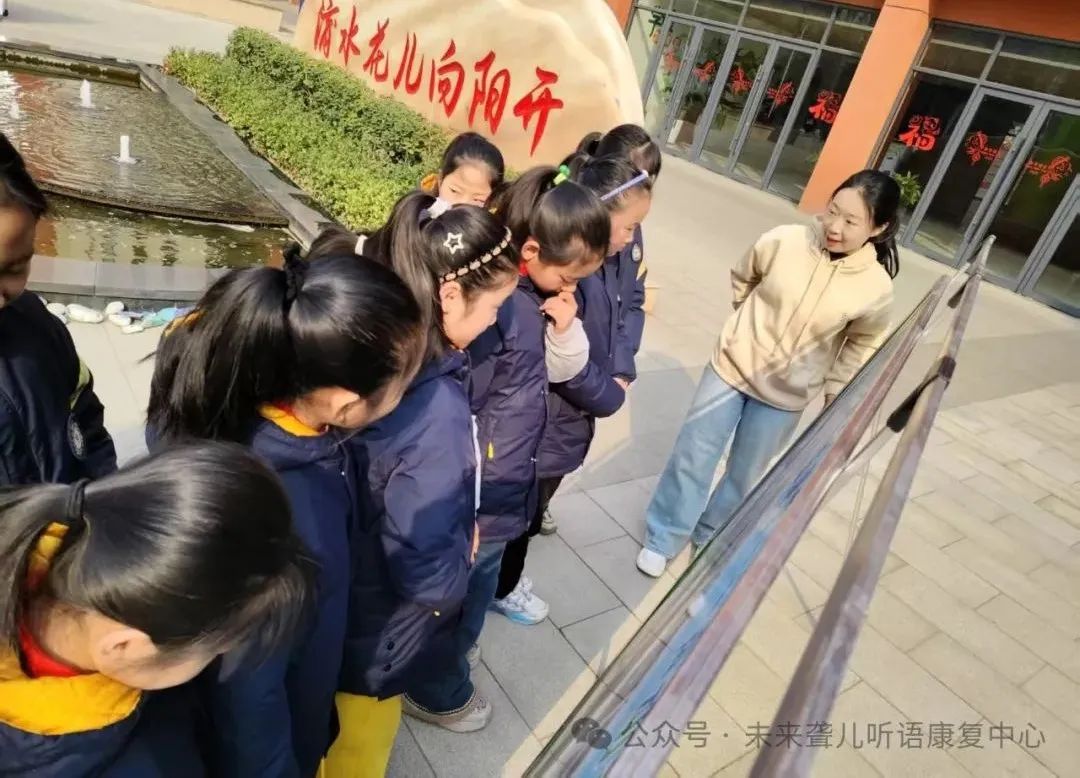 耳蜗宝宝