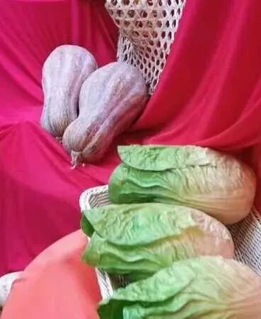 趣味农耕享运动