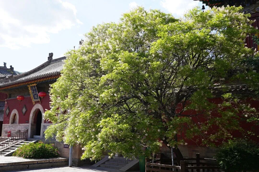 DSC08366.jpg