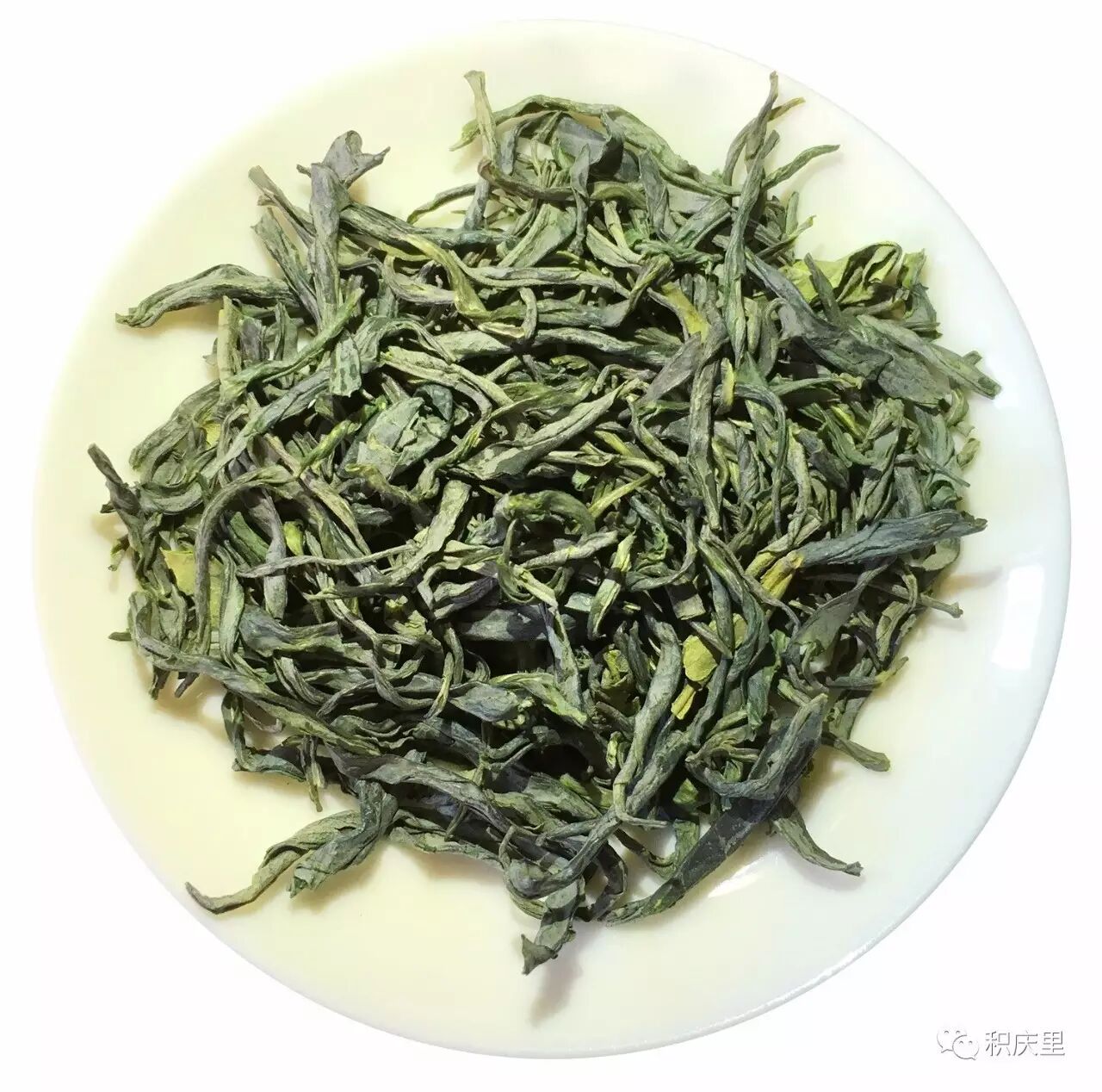 三月春英德绿茶|一抹春香伊人醉