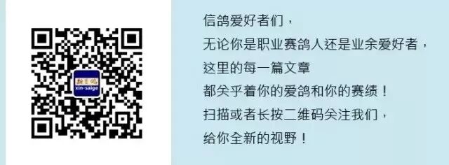 配對禁忌 靈異 第1張