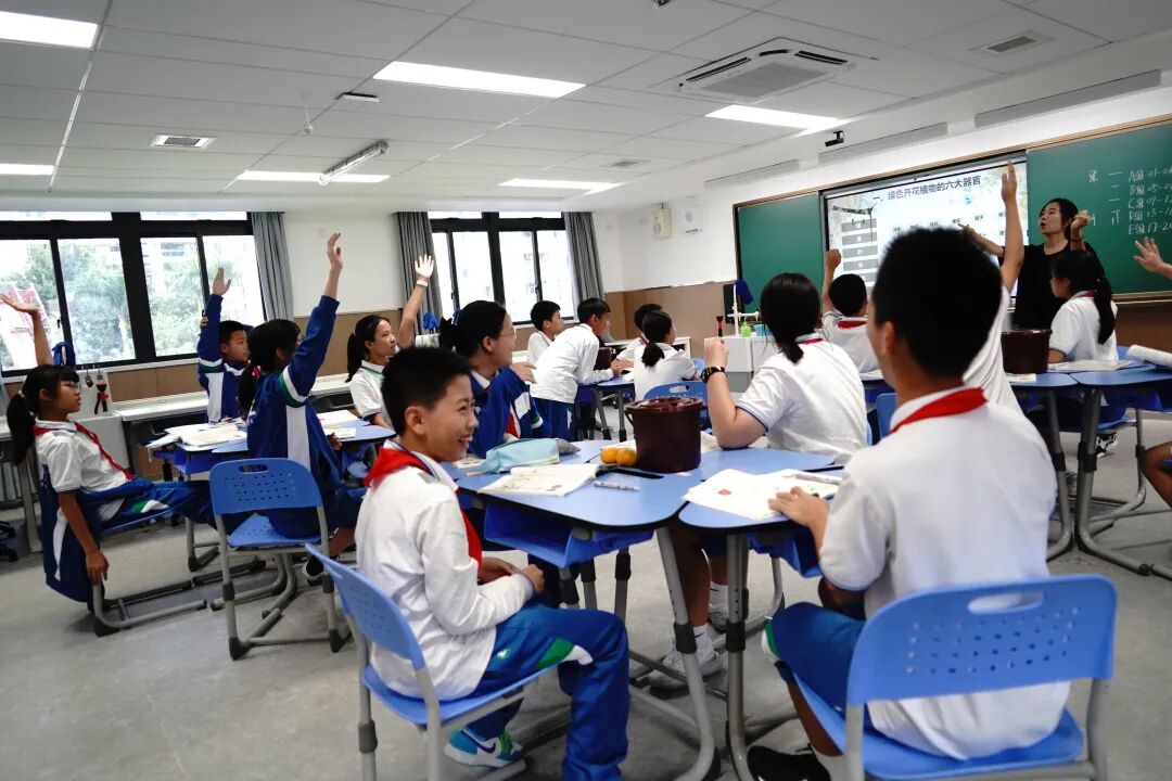 班,初中规划每年级开设8-10个班,30人/班;按学生能力个性化分层97班