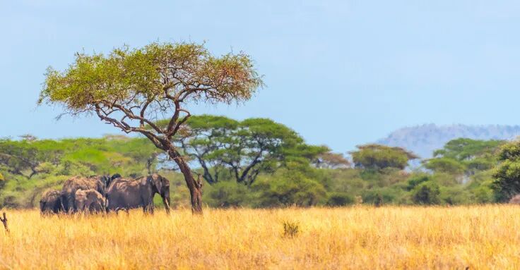 IDCȦһHOT˹ݲҵ԰йOTN졢ѶļȺCDNշ