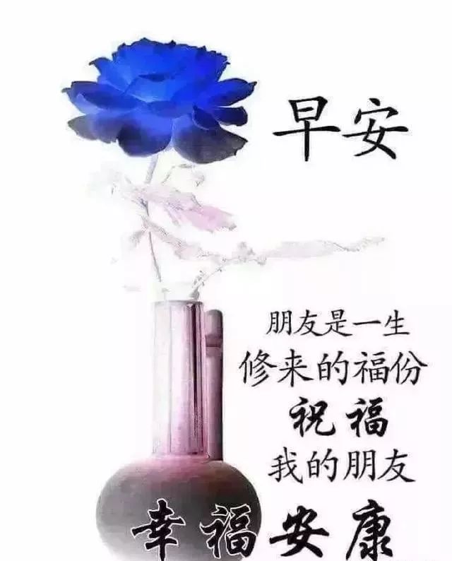 清晨早安问候动态表情图片 最美早上好祝福语动态 早上好祝福语图片 微信公众号文章阅读 Wemp