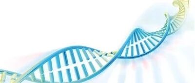 开卷知新 | 陈润生：从基因组大数据到精准医学