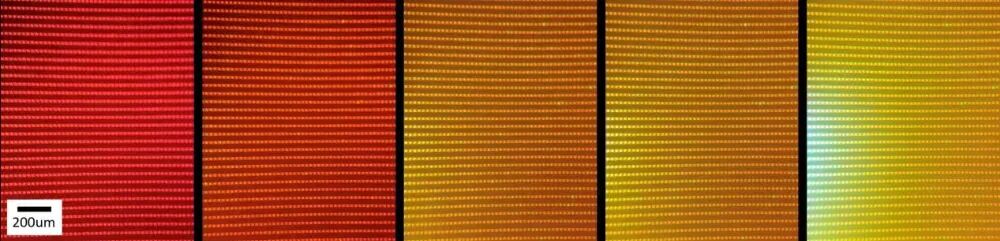良率超99.9995%，Q-Pixel推出全新巨量转移技术