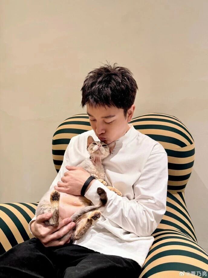 贾乃亮否认有儿子:就这一个,搁这呢!